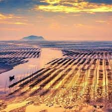 Huỳnh Thị Bảy avatar